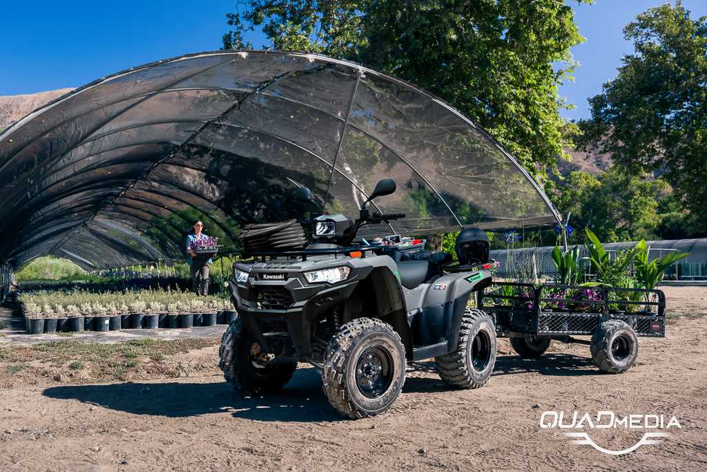 Brute Force 300 T-Cat pépiniériste