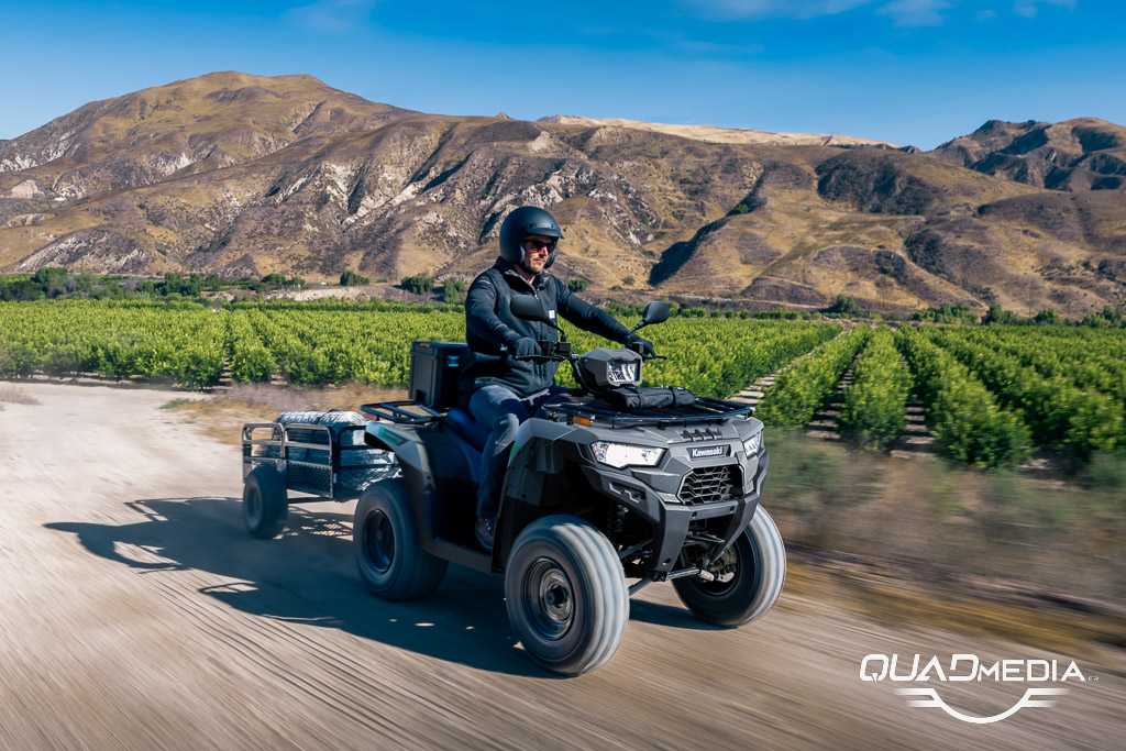 Kawasaki Brute Force 300 T-Cat