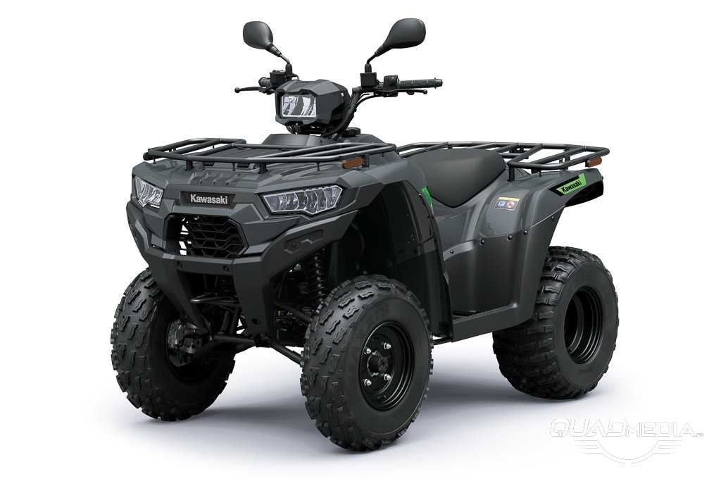 Brute Force 300 T-Cat Gris Smoky